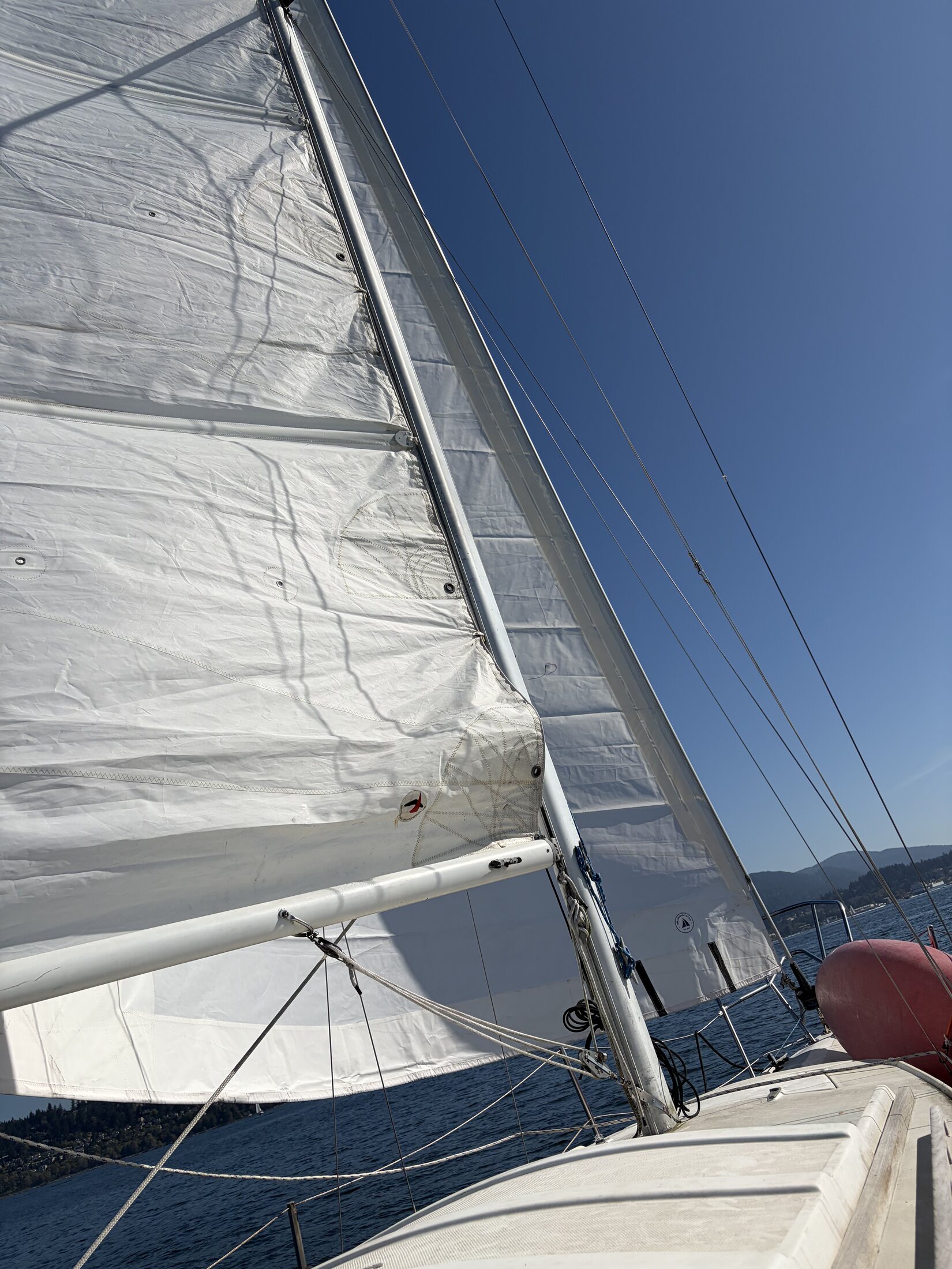 Mainsail and genoa viewed from the deck